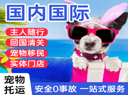 双流机场托运国际宠物托运 【国